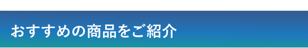 おすすめの商品をご紹介 Introduce a recommended product