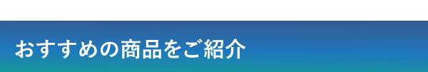 おすすめの商品をご紹介 Introduce a recommended product